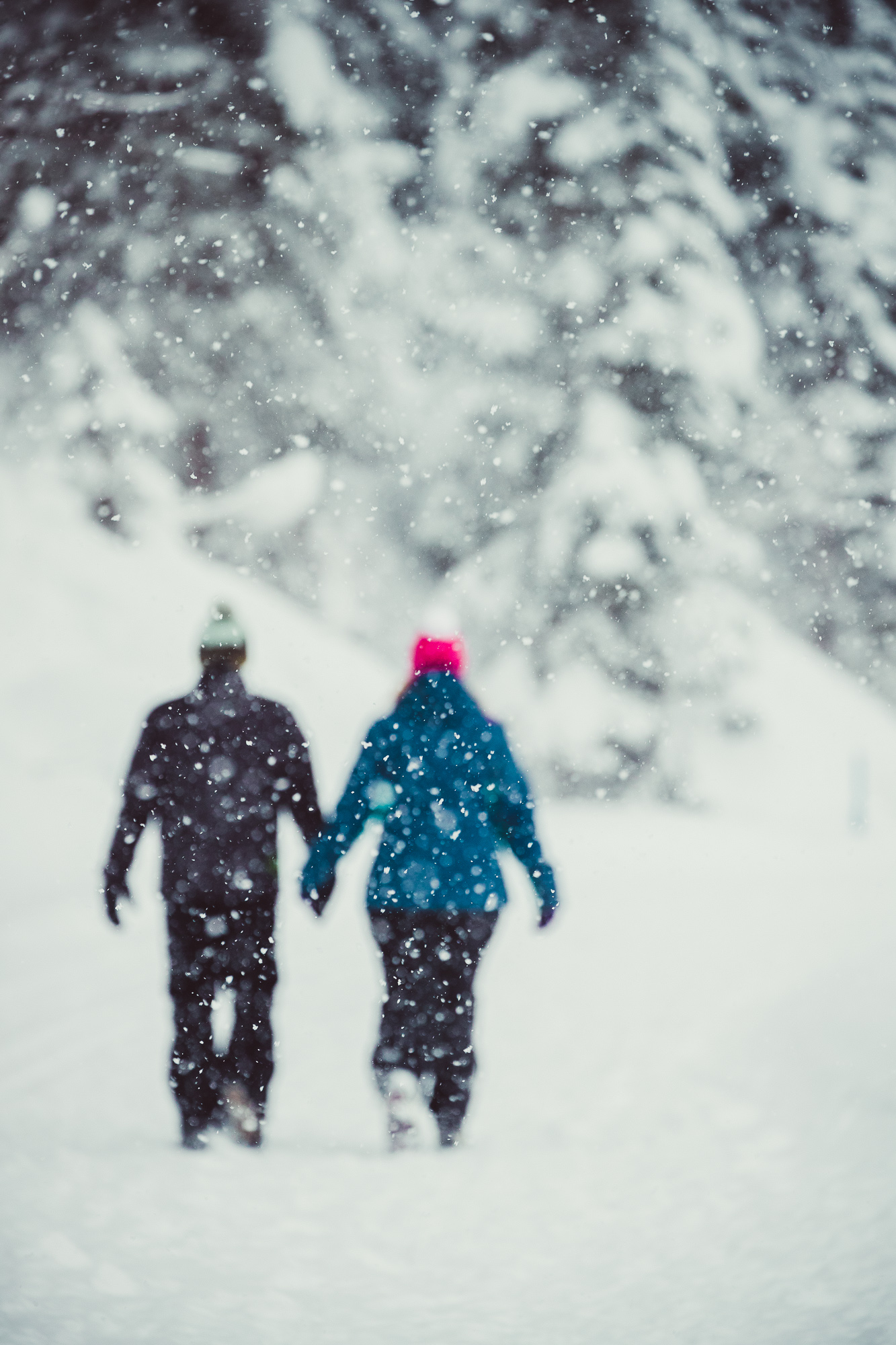 Export x3 1DX29370 Verlobungsfotoshooting 2018 Anna & Dominik 2